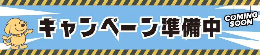 キャンペーン準備中