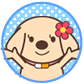 ラブちゃん