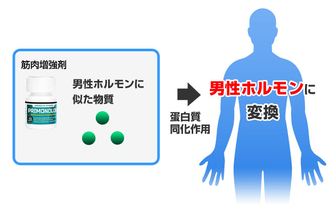 筋肉増強剤とは？