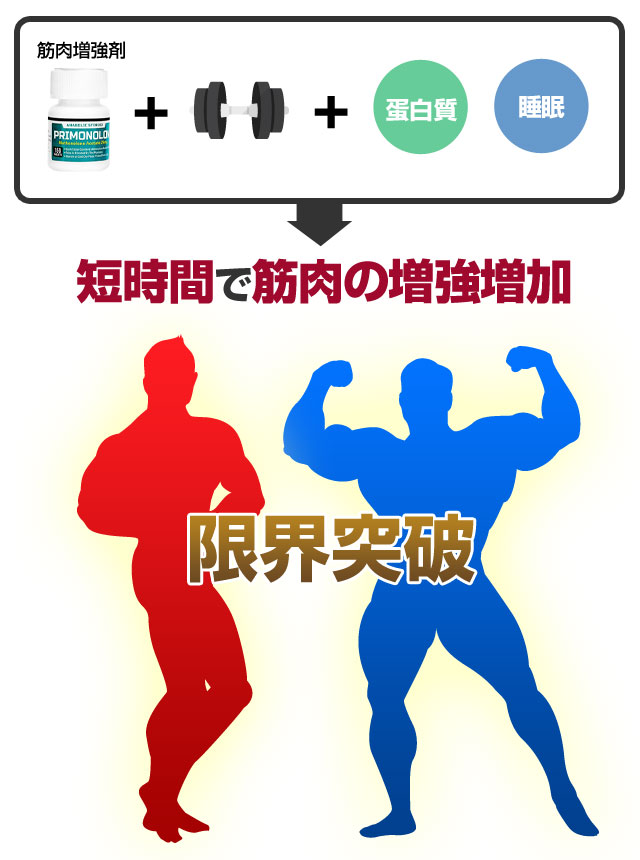 筋肉増強剤の効果