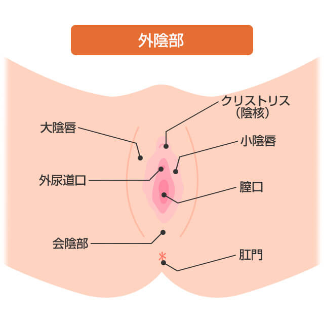 外陰部のかゆみは痛かゆくなる症状が起きる