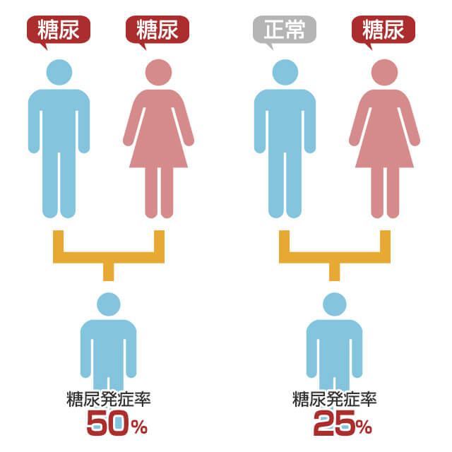 2型糖尿病は遺伝的要因が多いので発症率が高くなる