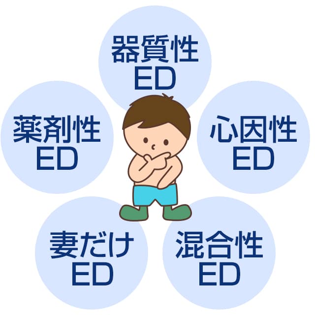 EDは器質性・心因性・薬剤性・混合性・妻だけなどのタイプがある