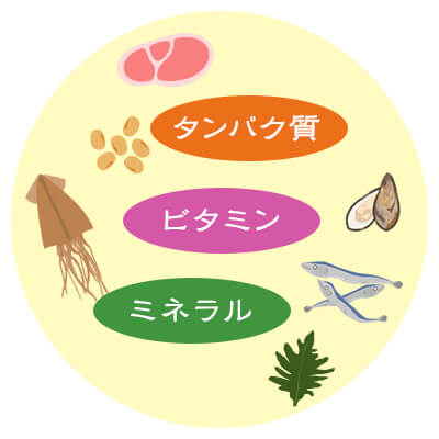 髪の毛となるたんぱく質・ミネラル・ビタミンを摂取しよう