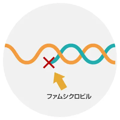 ファムビル