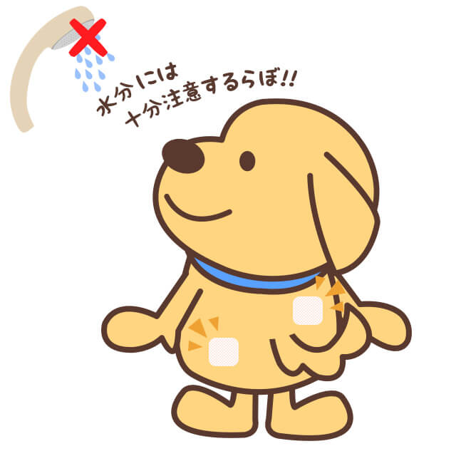 パッチMDは体毛や水分に注意して周期的に使用箇所を変える