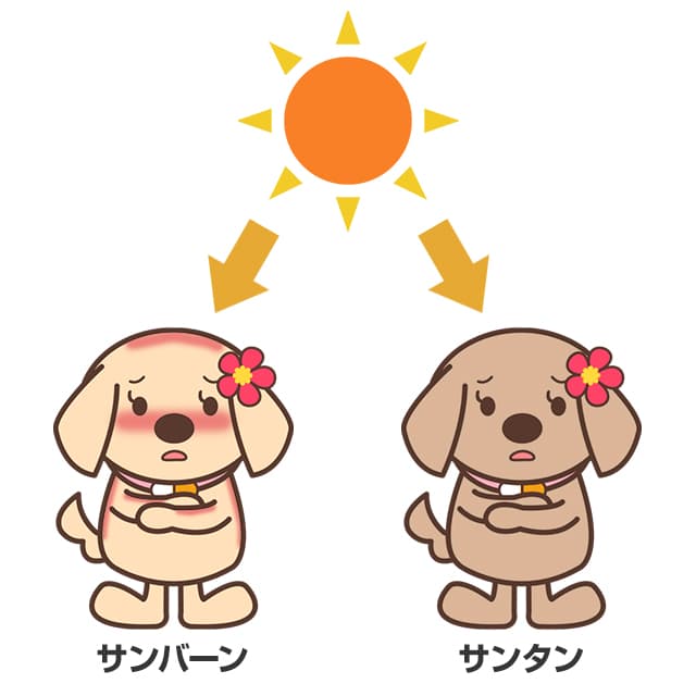 日焼けとは紫外線によって肌が何らかのダメージを負った状態