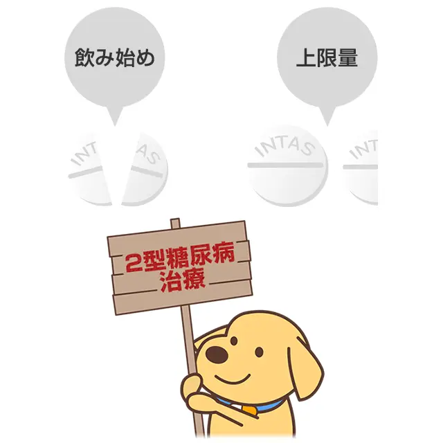 2型糖尿病治療目的の飲み方