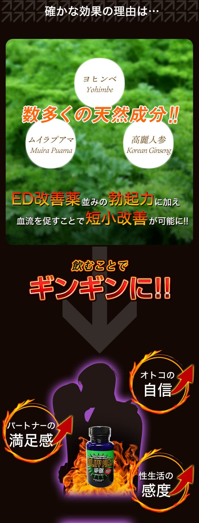 ED治療薬並みの効果がある成分を配合