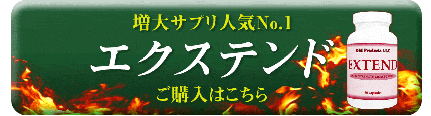 エクステンドを購入