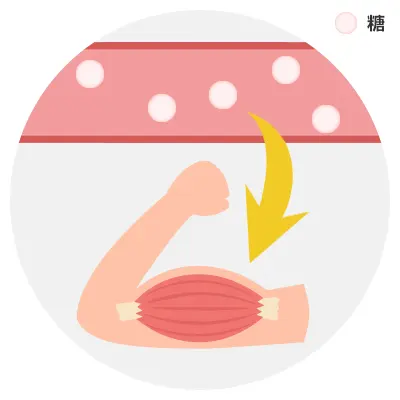 糖の吸収促進