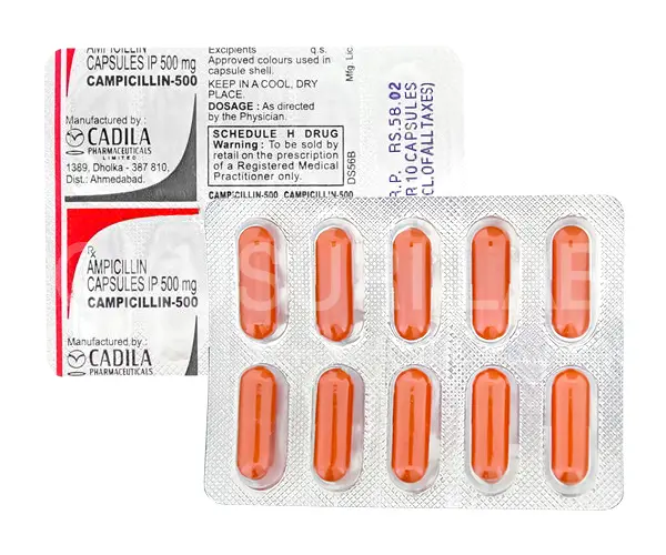 カンピシリン(ビクシリン)の商品画像01